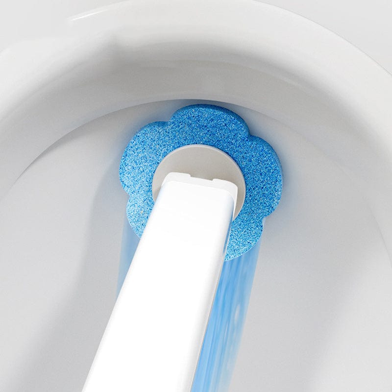 HygienePlus Toilet Cleaning System
