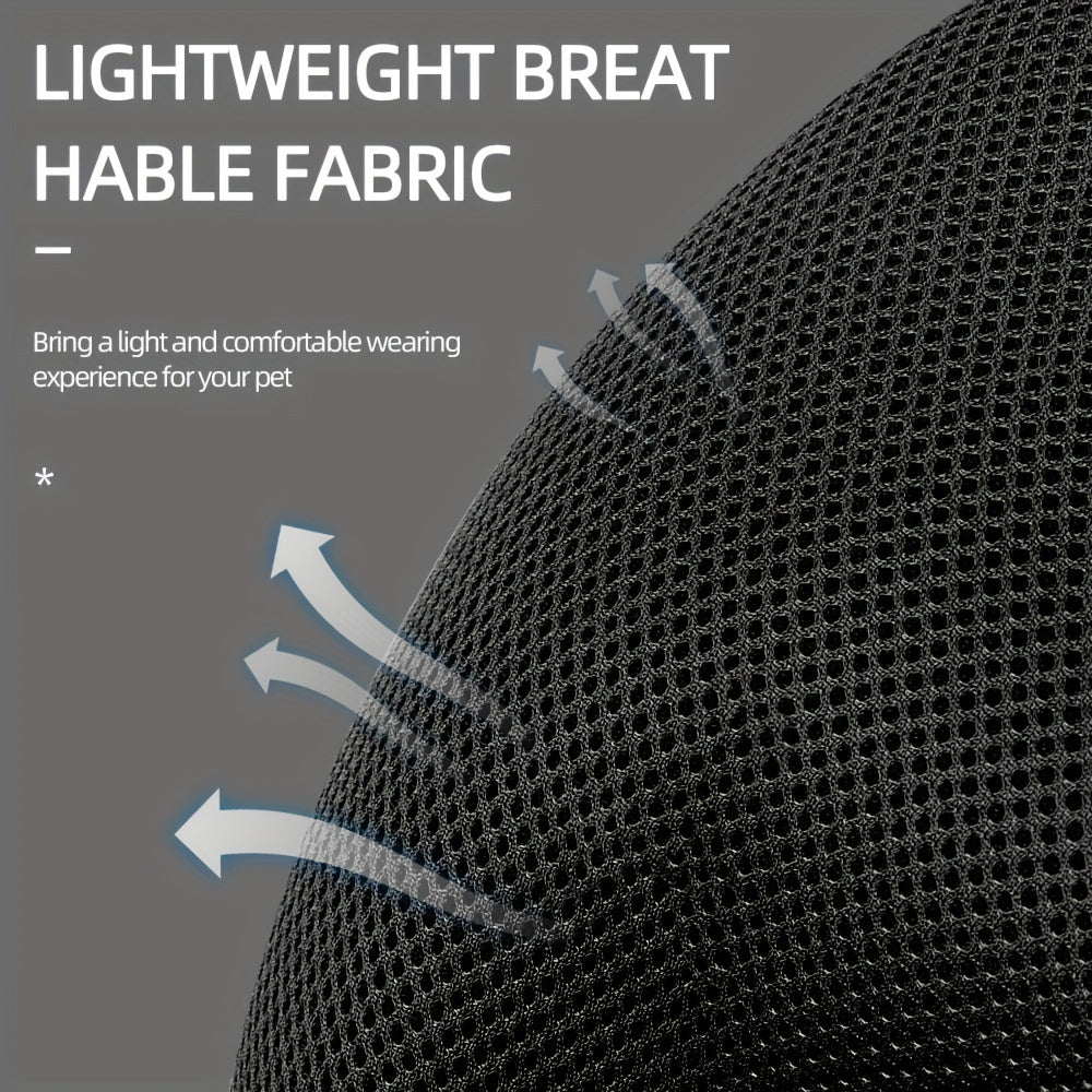 Reflective Cat Harness and Lead Set – Ideal for Walking and Training