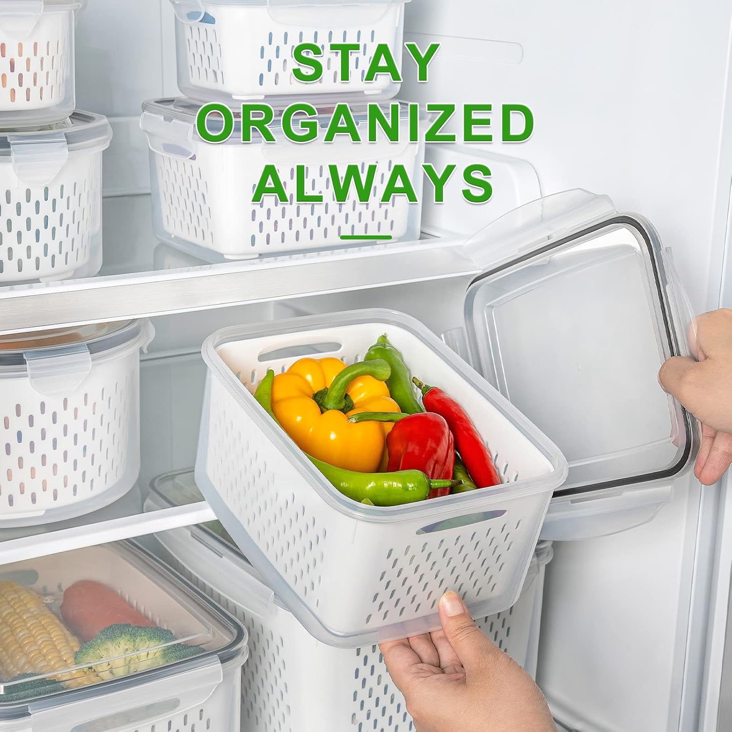 5-Piece Large Food Storage Set – FreshKeeper