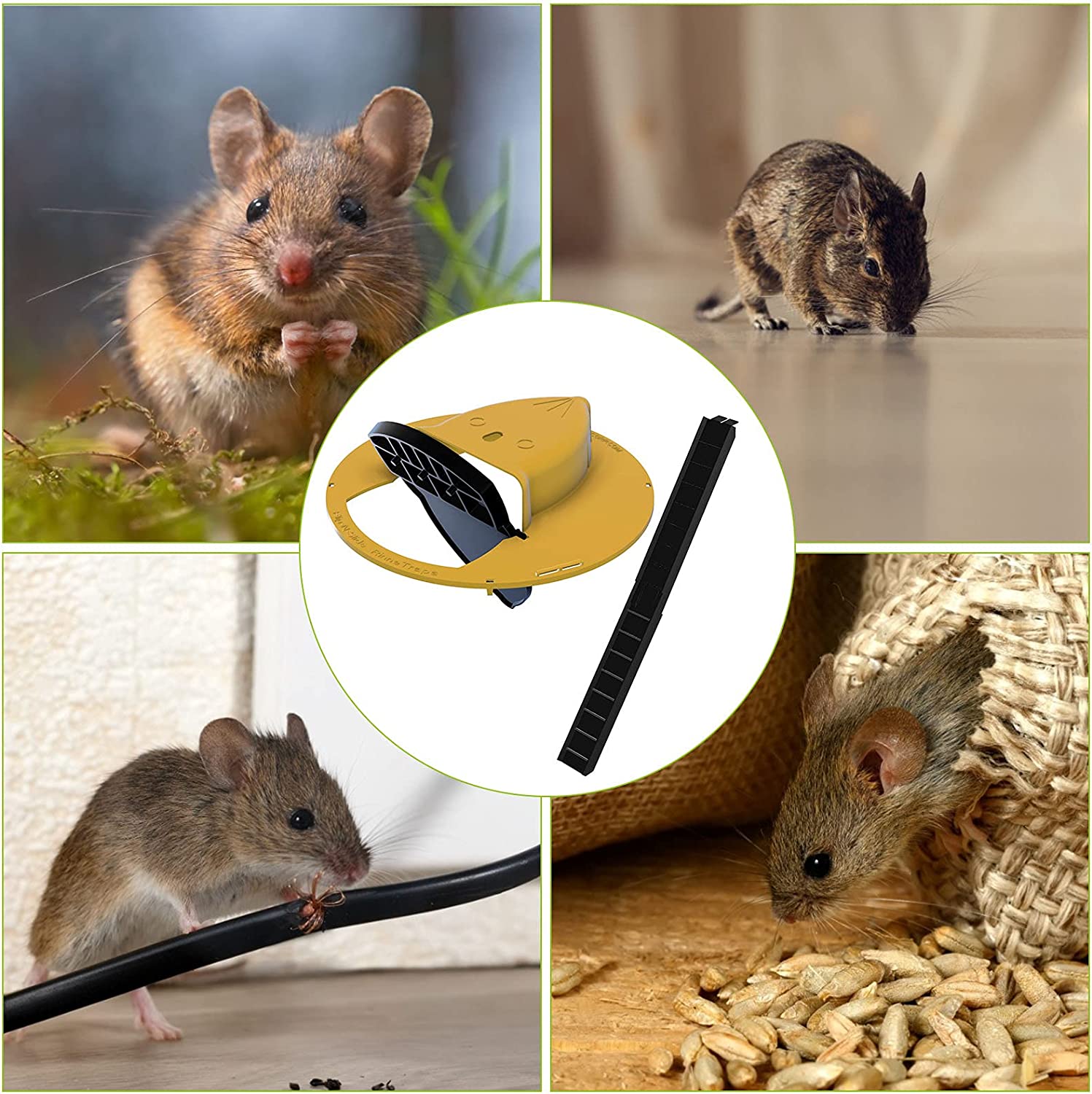 Humane Mouse Trap – Bucket Lid with Safe Release & Universal Fit