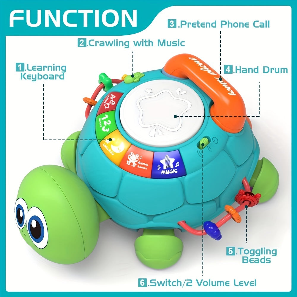 Interactive Turtle Toy – For Learning and Playing in One