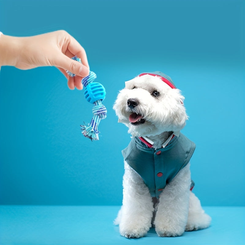 Interactive Dog Chew Toy – With Colourful Knots and Rubber Ball