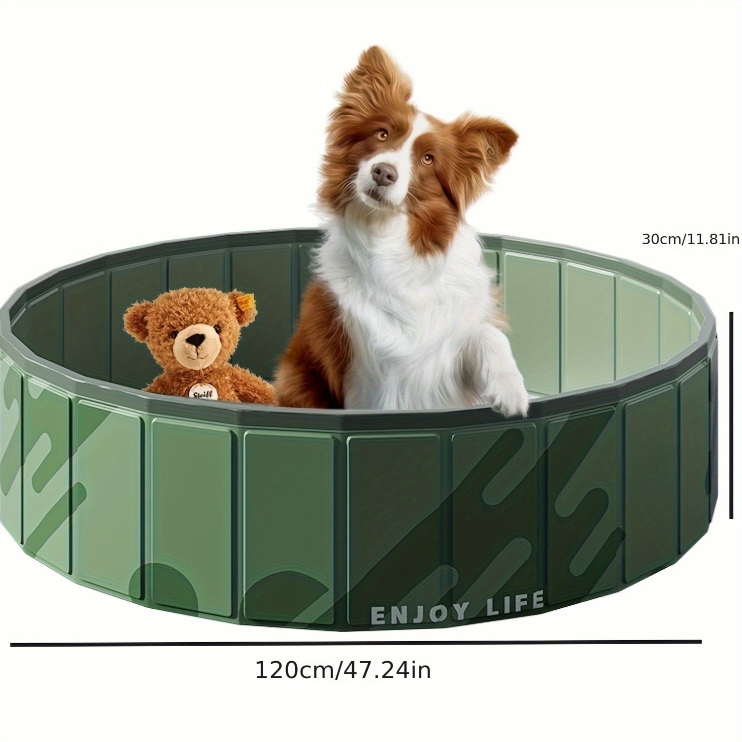 Portable Cooling Bath for Dogs – Comfortable and Safe for Summer Days