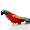 Interactive Cat Toy for Fun and Exercise – FeatherFlight™