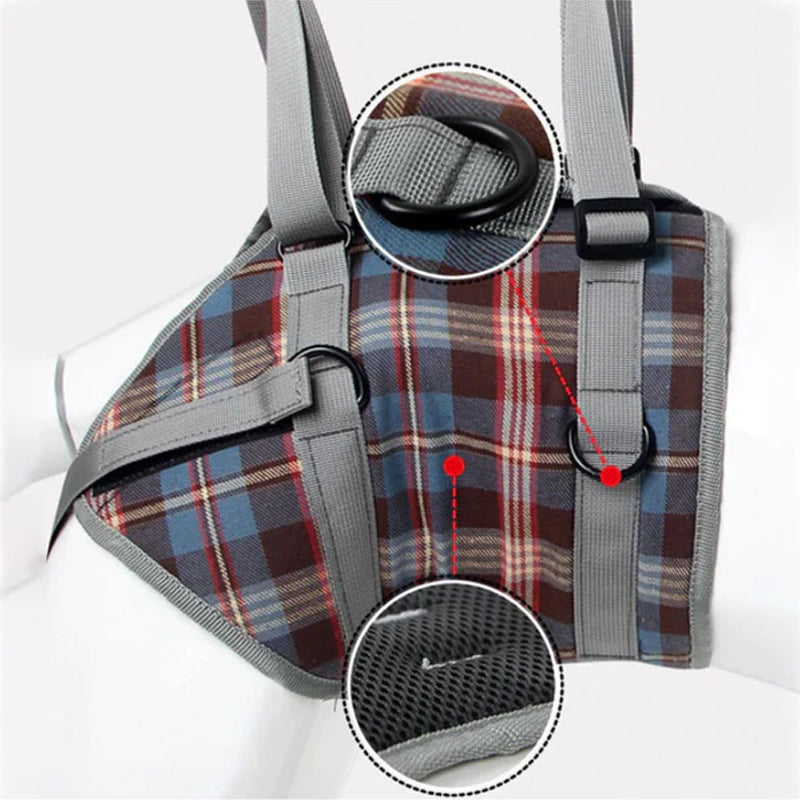 Orthopaedic Harness for Hind Legs