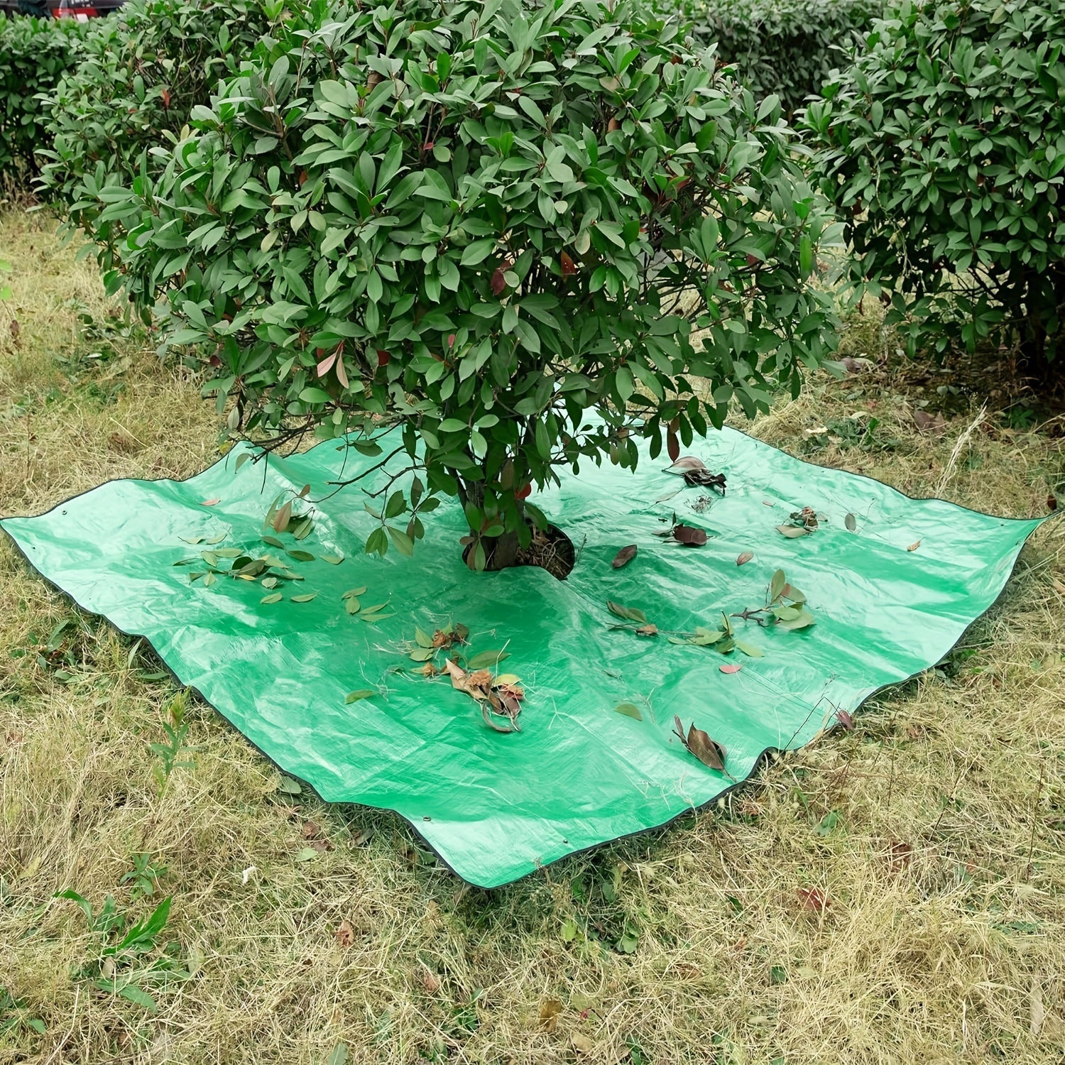 Large Garden Tarp with Tree Cut-Out – Waterproof, Reusable, and Perfect for Pruning