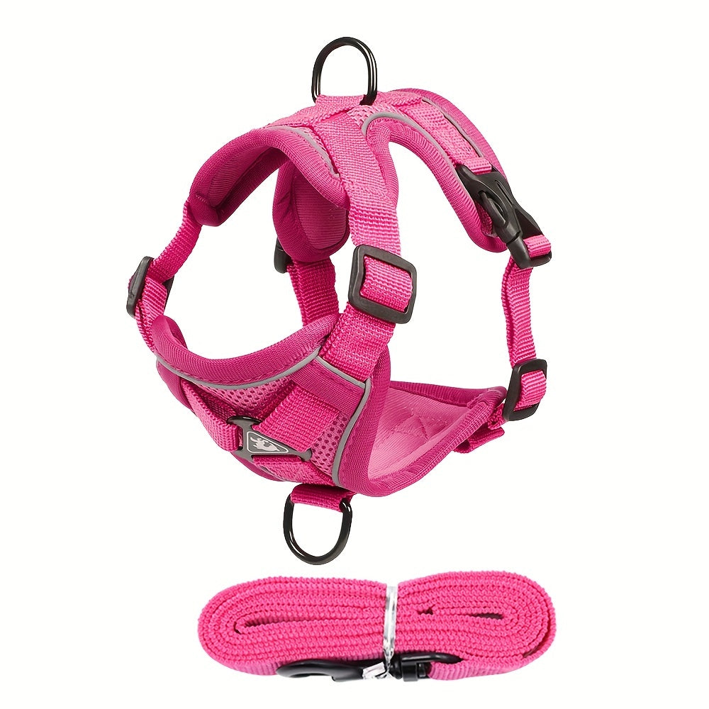 Reflective Cat Harness and Lead Set – Ideal for Walking and Training