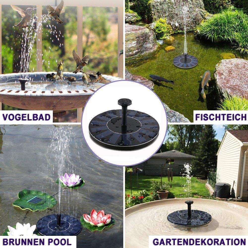 Sandsberg Solar Fountain Pump