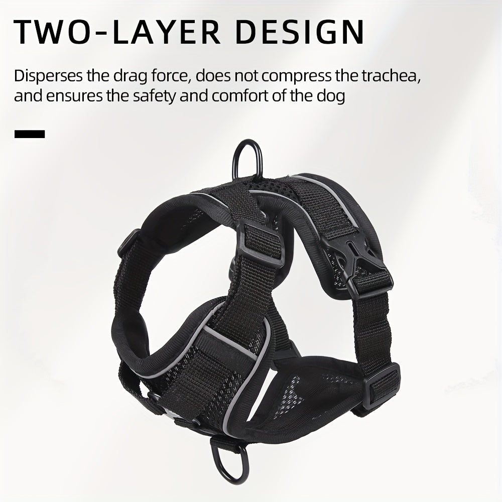 Reflective Cat Harness and Lead Set – Ideal for Walking and Training