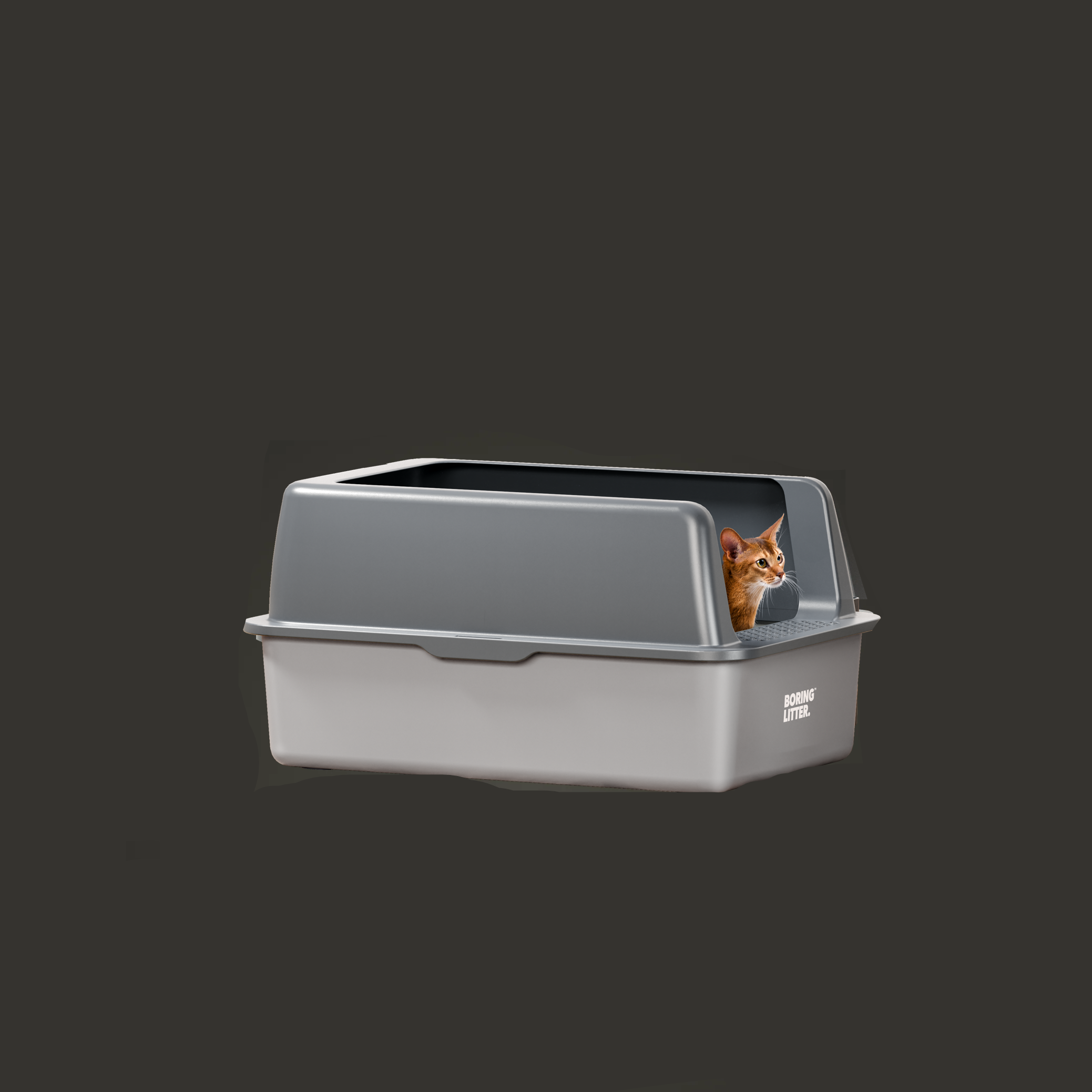 Stainless Steel Cat Litter Tray – SteelClean