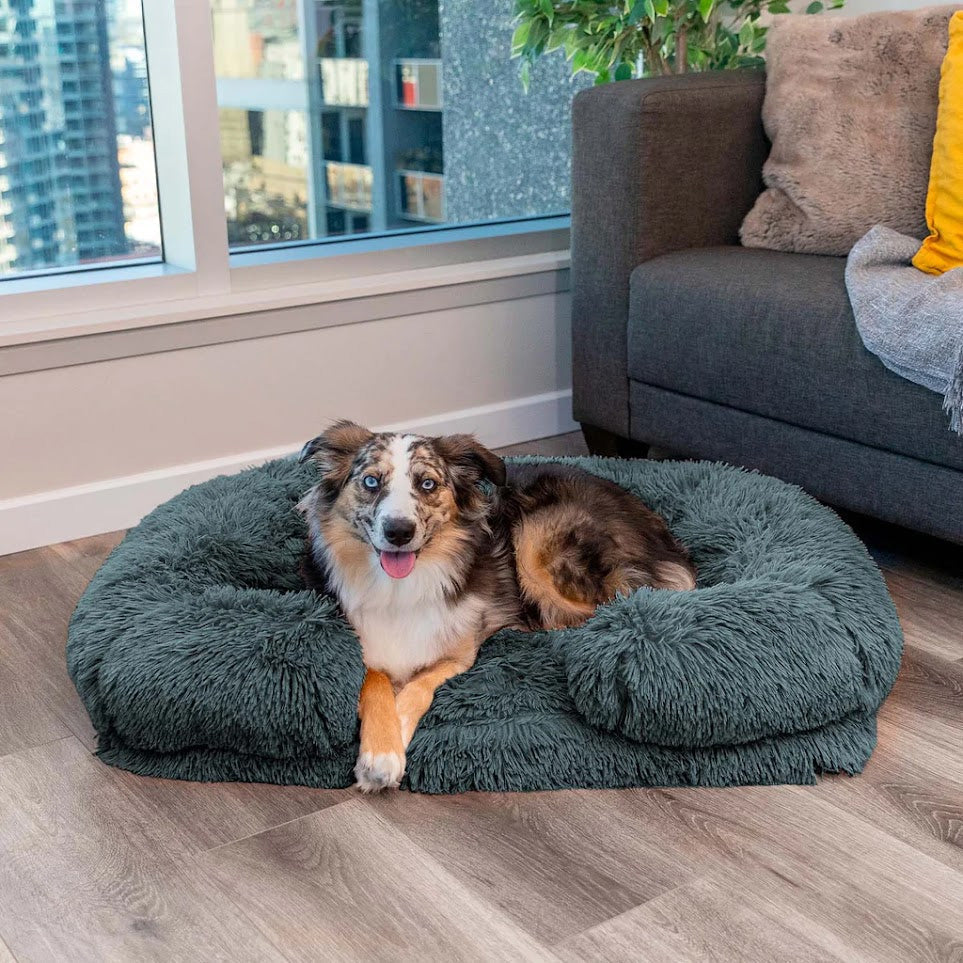 Calming Dog Bed with Memory Foam - Charlie