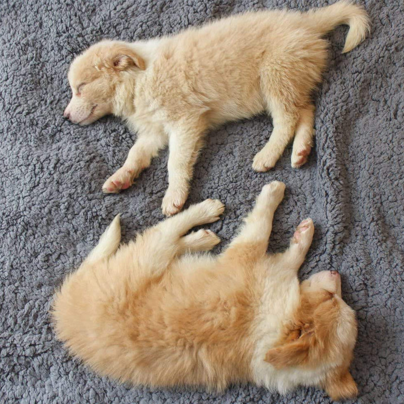Soft Winter Puppy Blankets - SnuggleFur Fleece