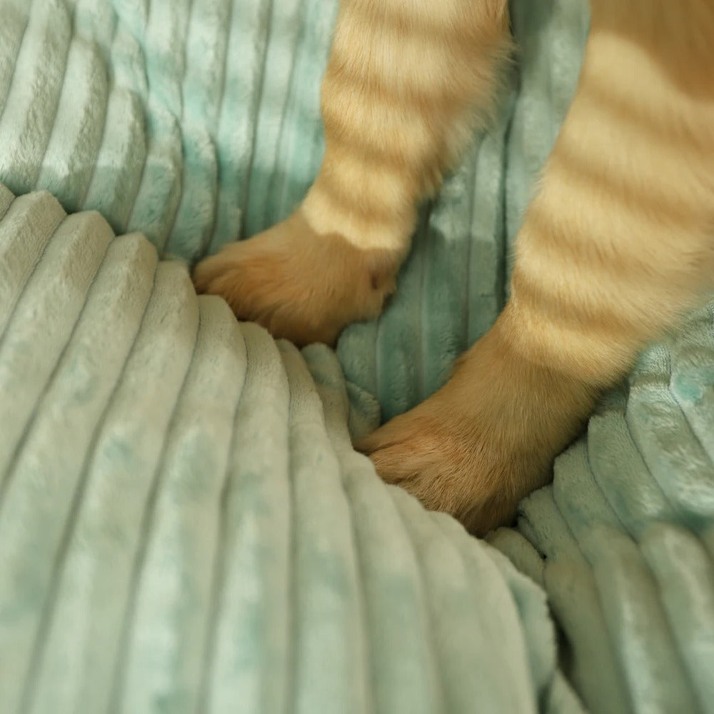 PawHaven Plush Dog Bed | Ultra-Soft, Machine-Washable Pet Comfort Bed