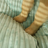PawHaven Plush Dog Bed | Ultra-Soft, Machine-Washable Pet Comfort Bed