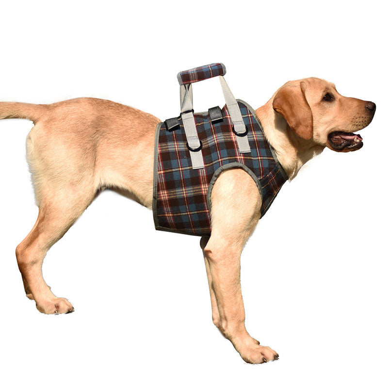 Orthopaedic Harness for Hind Legs
