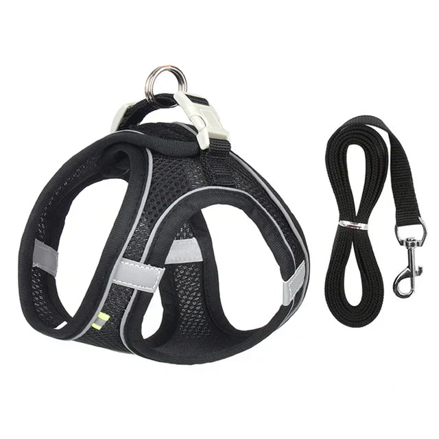 Adjustable Cat Harness with Leash – WhiskerWander