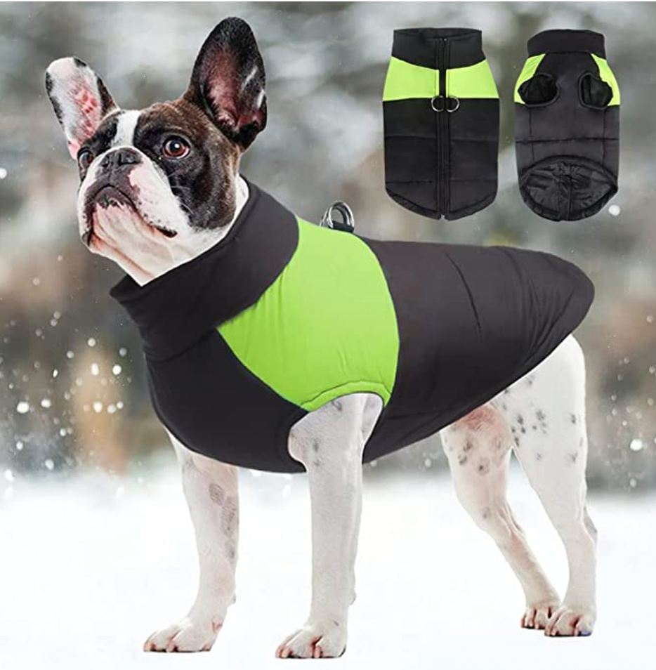 CozyPaws Dog Coat - Warm & Waterproof