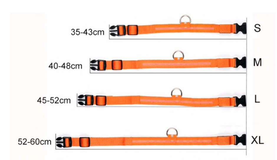 HondVeilig Pro - LED Collar for Dogs - Feel Safe and Stylish While Walking