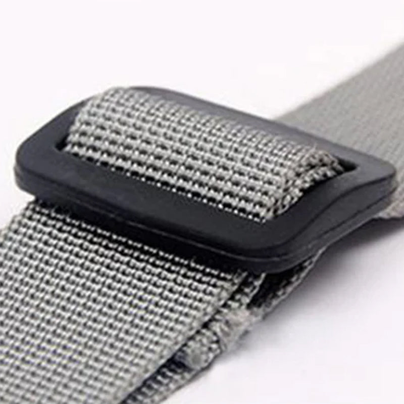 Orthopaedic Harness for Hind Legs