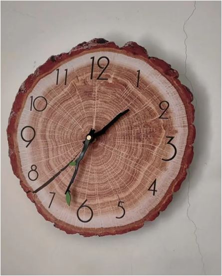 Sandsberg | Wood Annual Rings Wall Clock