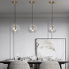 Modern Aluminium Glass Pendant Light – LumaLite