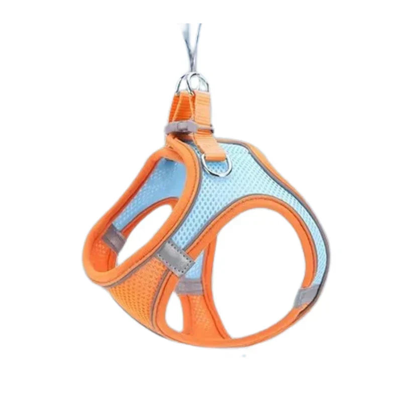 Adjustable Cat Harness with Leash – WhiskerWander