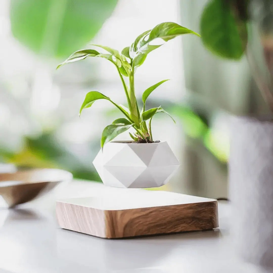 Floating Plant Holder with Magnetic Levitation - Liva