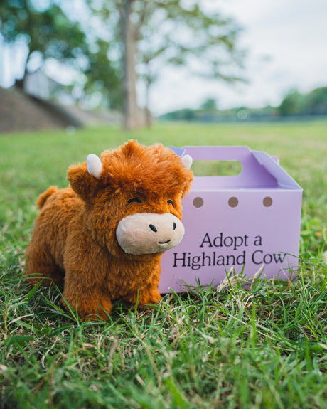 The Highland Cow Soft Toy - Great Gift