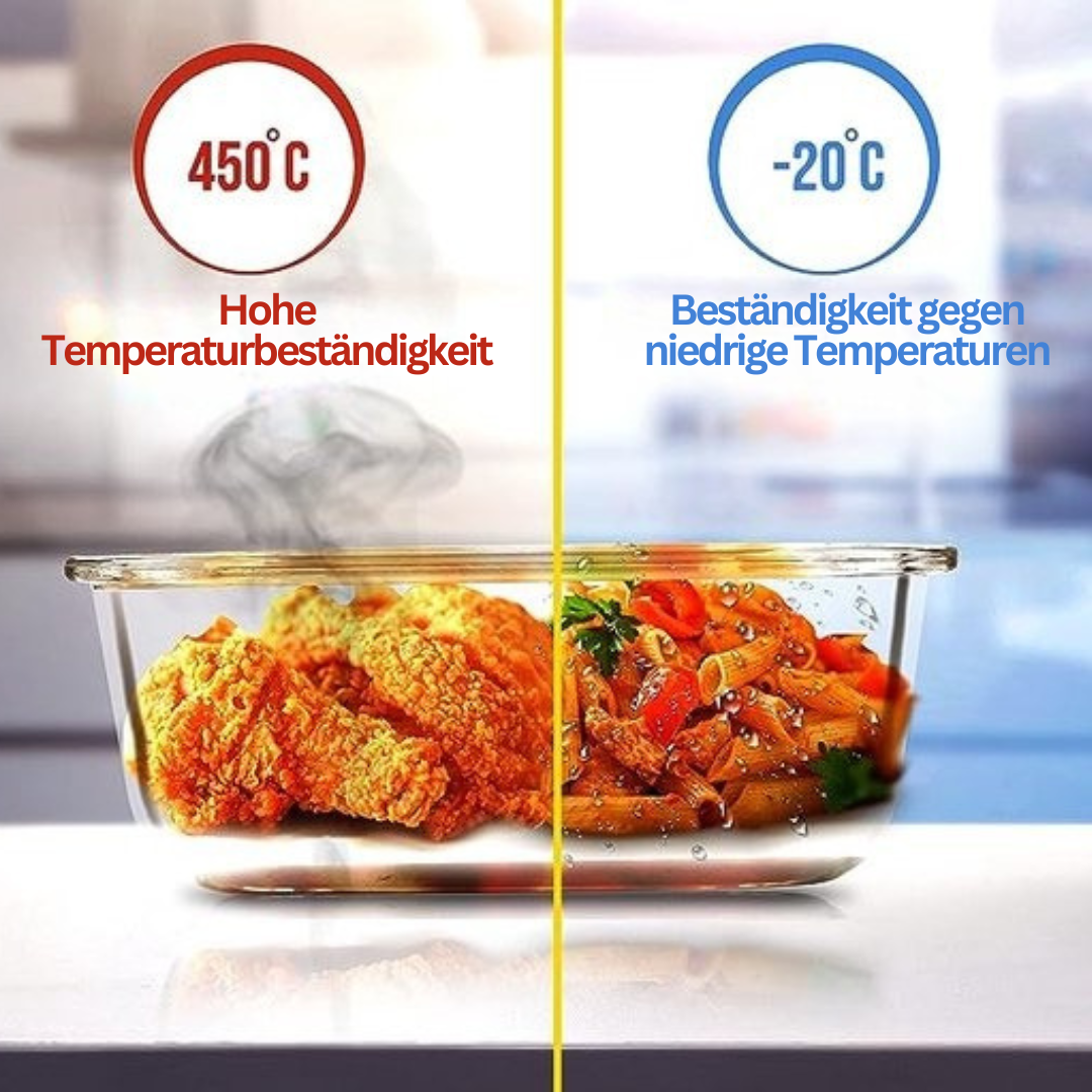 Borosilicate Glass Lunchbox – GlassGuard Bento