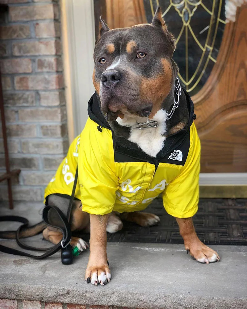 PawDry Stormproof Dog Coat | Lightweight windbreaker for French Bulldogs, Chihuahuas and more