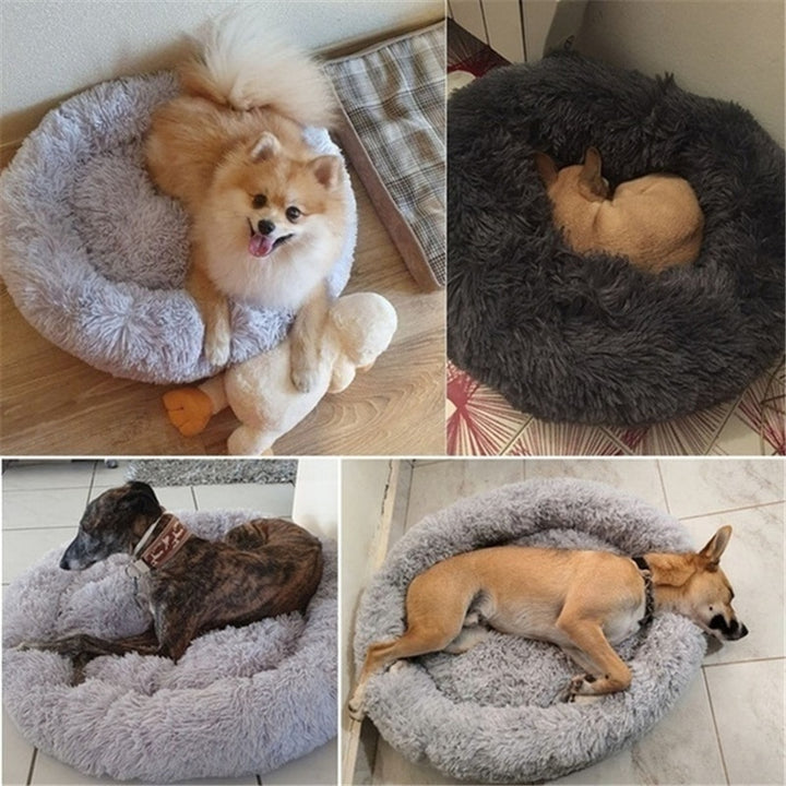 Comfortable Dog Bed for Your Four-Legged Friend - PetPlace
