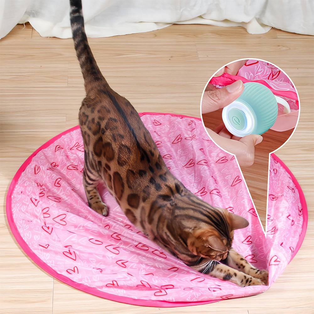 Interactive Moving Toy for Cats – WhiskRoll