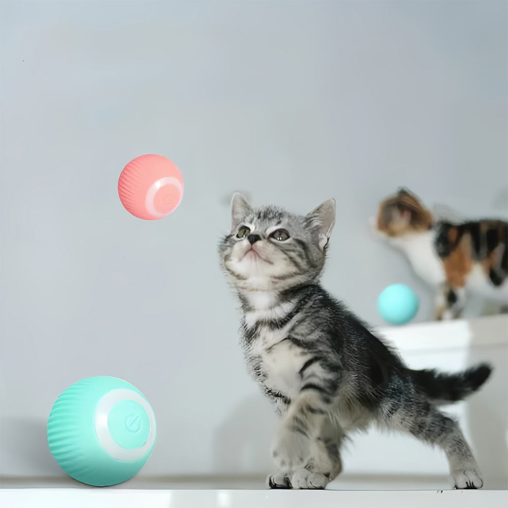 Interactive Moving Toy for Cats – WhiskRoll