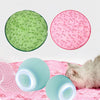 Interactive Moving Toy for Cats – WhiskRoll
