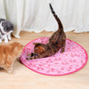 Interactive Moving Toy for Cats – WhiskRoll