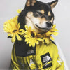 PawDry Stormproof Dog Coat | Lightweight windbreaker for French Bulldogs, Chihuahuas and more