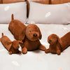 Plush Ergonomic Dachshund Cushion – DaxiRest