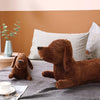 Plush Ergonomic Dachshund Cushion – DaxiRest