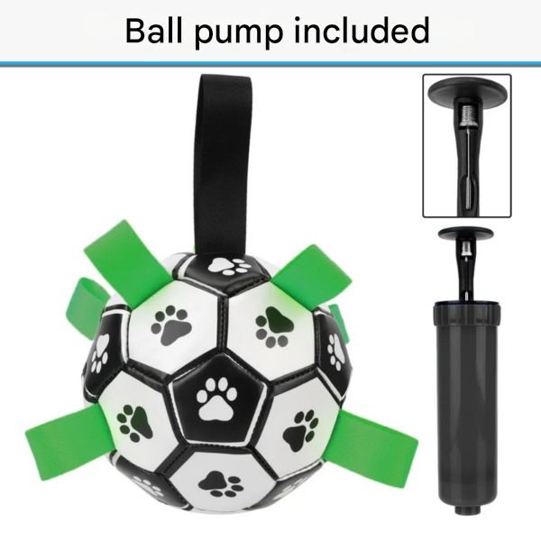 Sustainable Dog Sport Ball with Handles – TugBounce