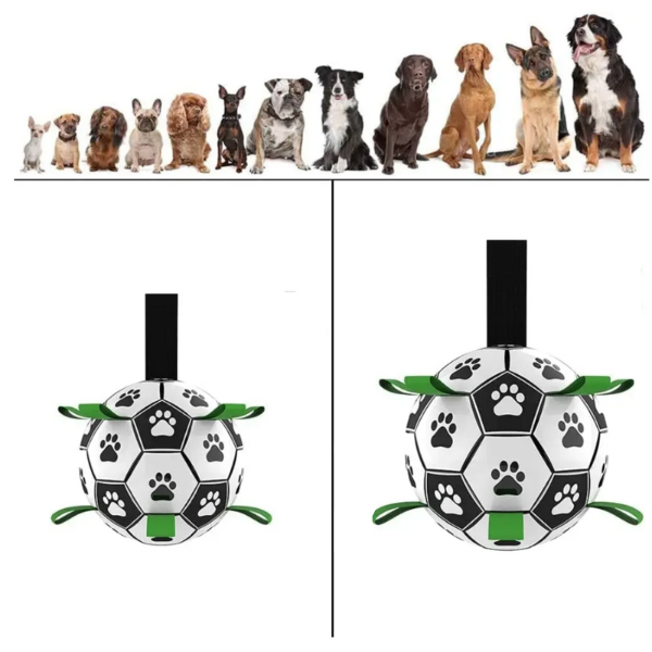 Sustainable Dog Sport Ball with Handles – TugBounce