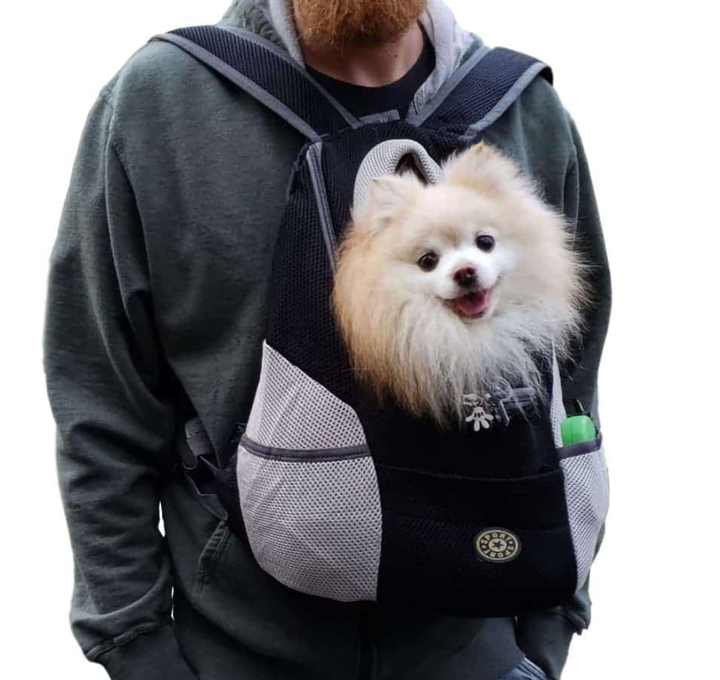 PetAdventure Backpack - Comfortable & Practical