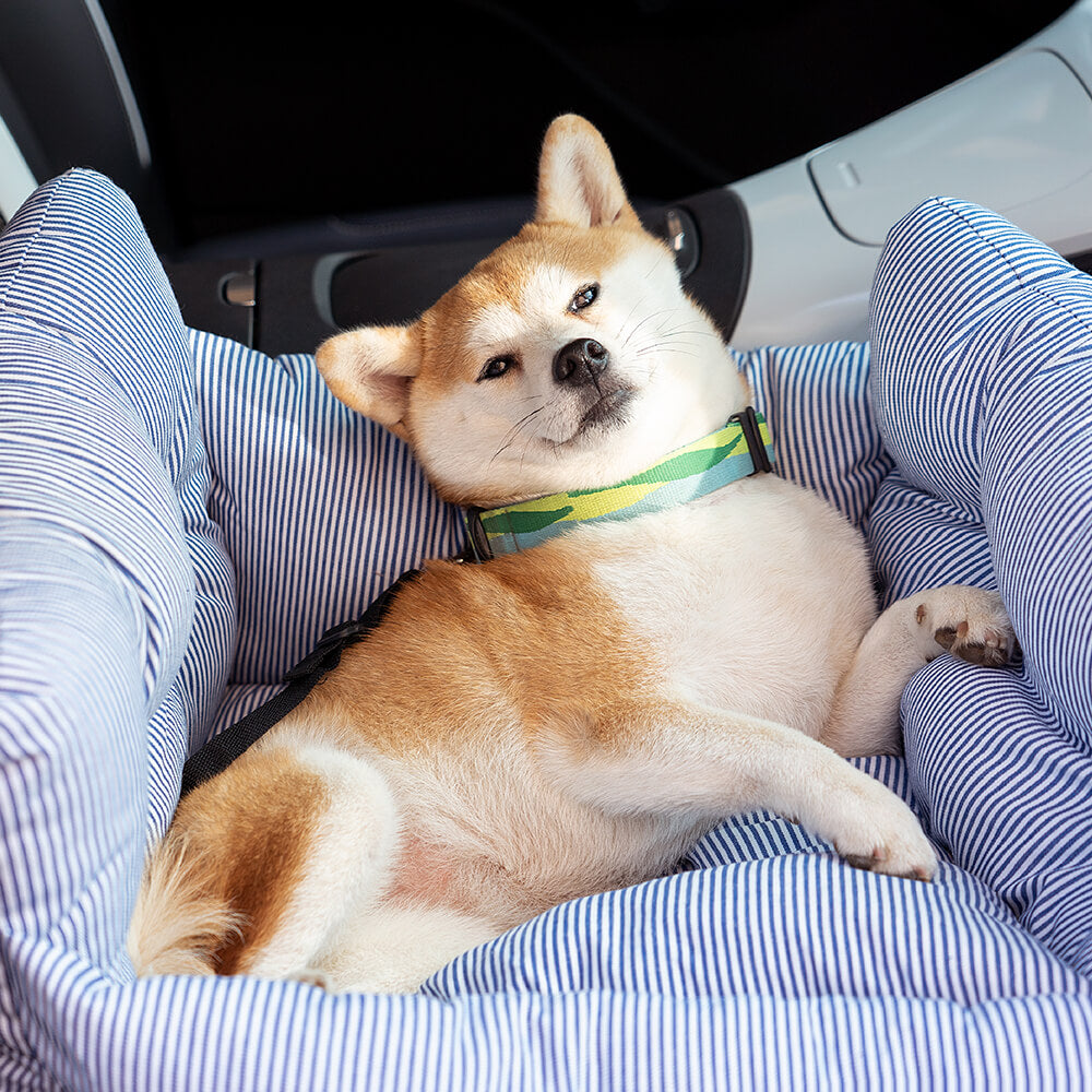 Comfortable Dog Bed for the Car - TravelPaw
