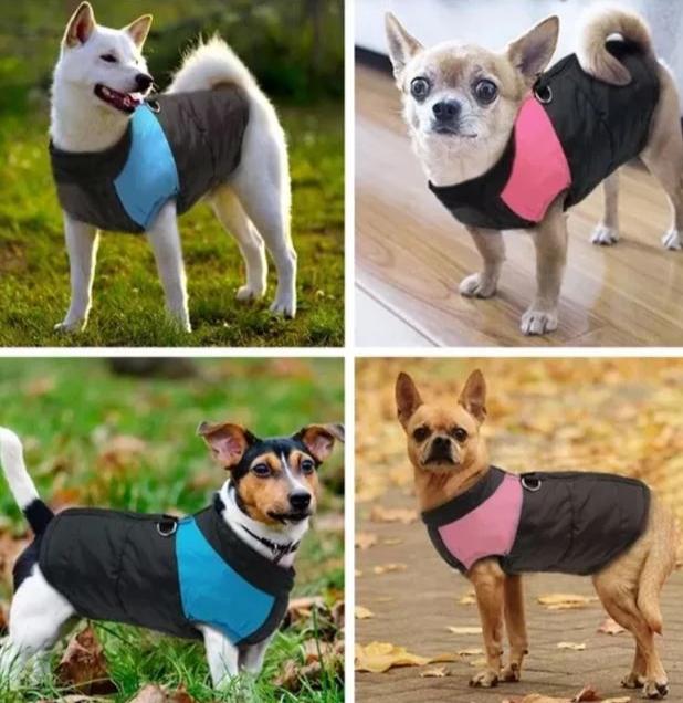 CozyPaws Dog Coat - Warm & Waterproof