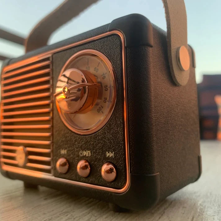 Sonique Classic Bluetooth Speaker | Premium 2.0 channel wireless speaker with rich audio and retro design