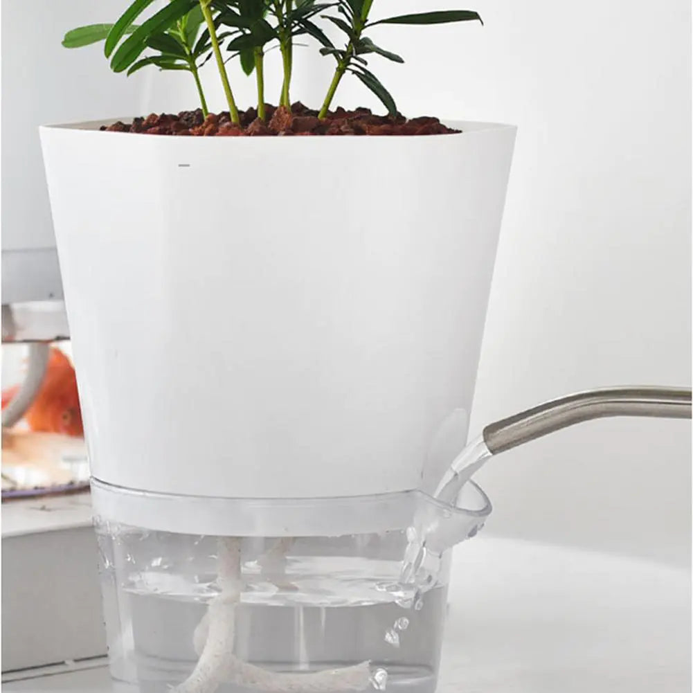 AquaPlanter - Smart Plant Pot and Mini Aquarium in One