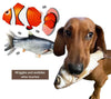 Interactive Dog Toy - FlippyFish