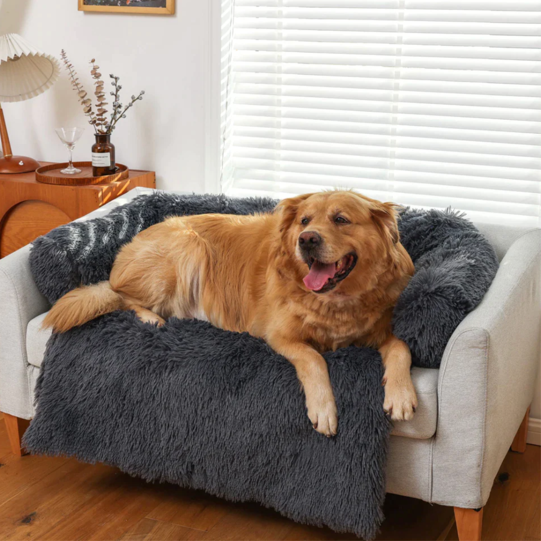 HondComfort Deluxe Blanket - Luxury & Protection for Your Furniture