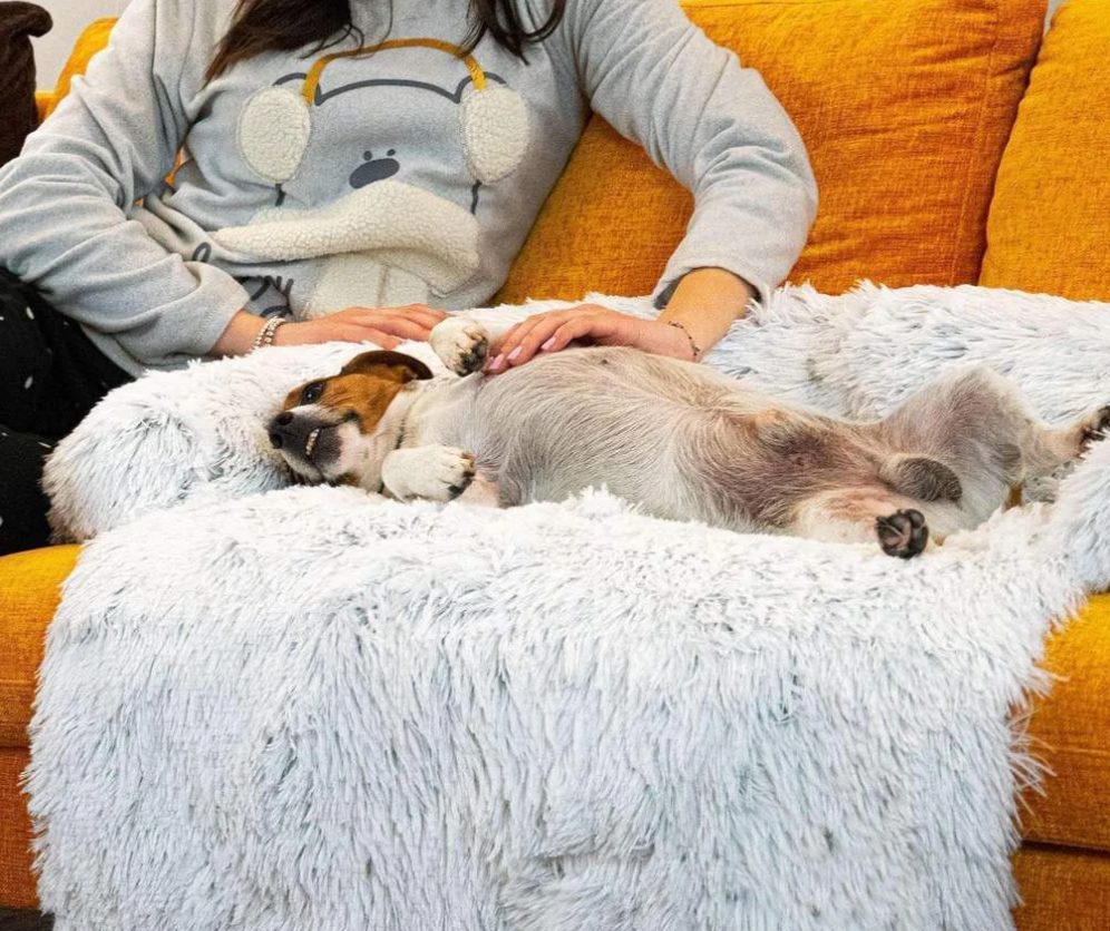 HondComfort Deluxe Blanket - Luxury & Protection for Your Furniture