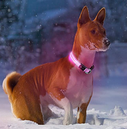 HondVeilig Pro - LED Collar for Dogs - Feel Safe and Stylish While Walking