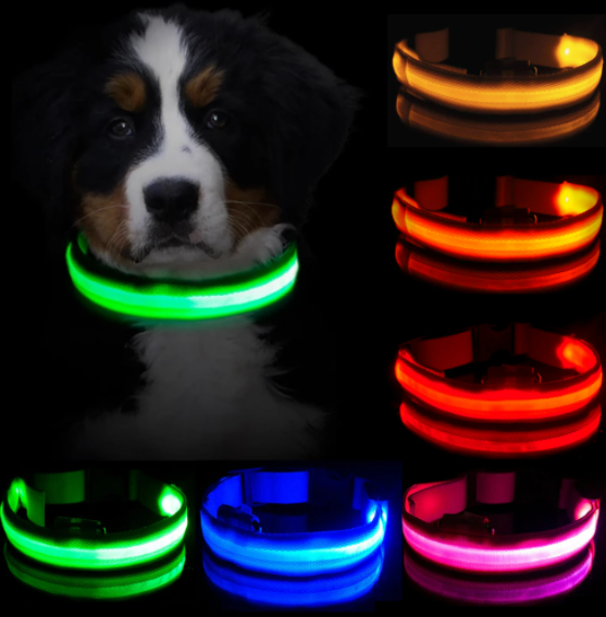 HondVeilig Pro - LED Collar for Dogs - Feel Safe and Stylish While Walking